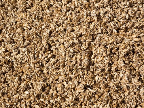 Spent Grain