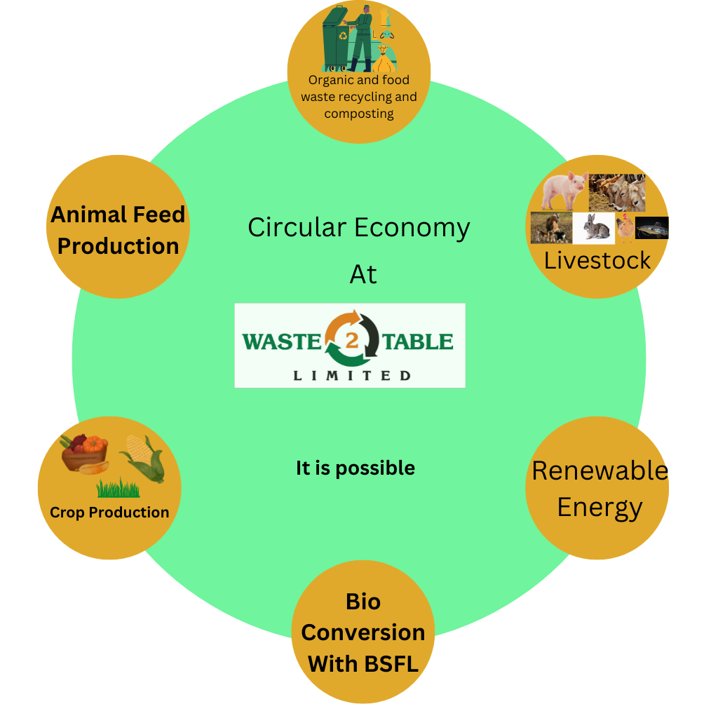 Circular Economy